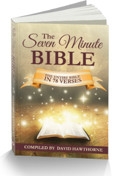 The Seven Minute Bible