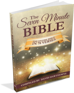 The 7 Minute Bible